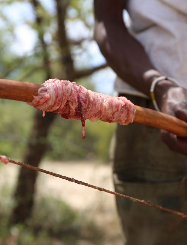 Trying the Hadza hunter-gatherer berry and porcupine diet - BBC News