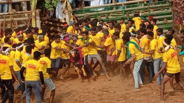 புதுக்கோட்டையில் அடங்க மறுத்த காளைகளை அடக்கிய காளையர்கள்