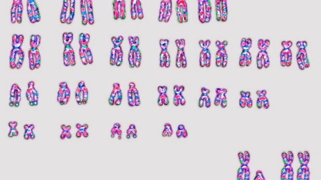 Illustração de cromossomos humanos