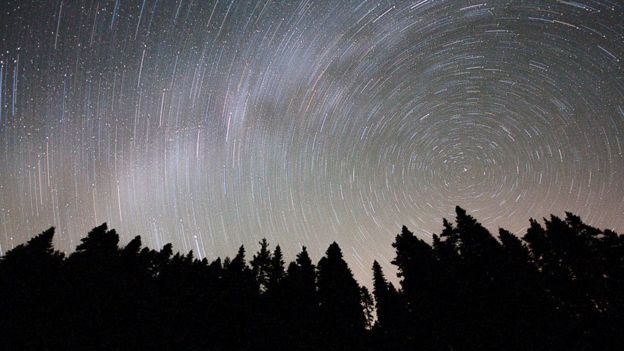 Estrellas fugaces en el cielo sobre árboles