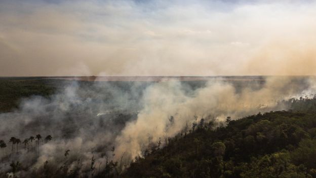 Fogo no Cerrado do Brasil perto de terras agrÃ­colas