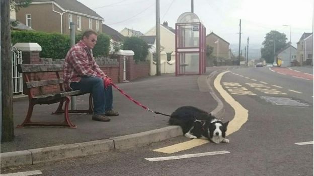Ammanford Memorial Bench For Town S Beloved Dog Bbc News