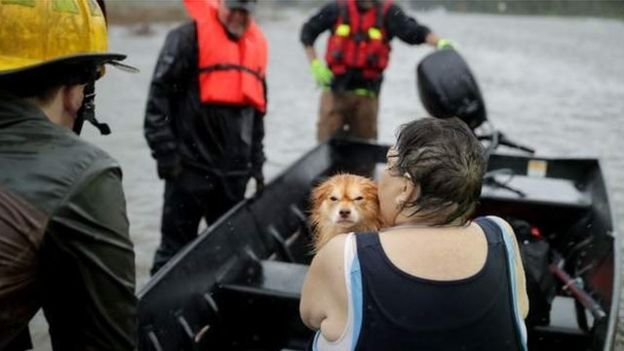 Algunos de los afectados fueron rescatados junto a sus mascotas por los equipos de emergencia.