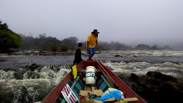 Expedição em busca da árvore mais alta da Amazônia