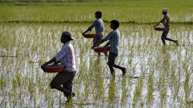 à¤­à¤¾à¤°à¤¤ à¤à¤¿à¤¸à¤¾à¤¨