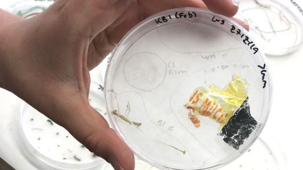 Plastic collected on Great Cumbrae