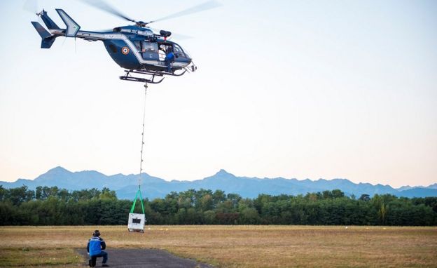 Sorita sendo movimentada em gaiola de helicóptero, em outubro de 2018