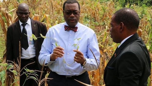 Ainwumi Adesina in a field of crops (Image: World Food Prize)