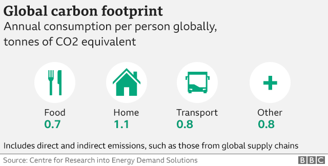 Global carbon footprint infographic