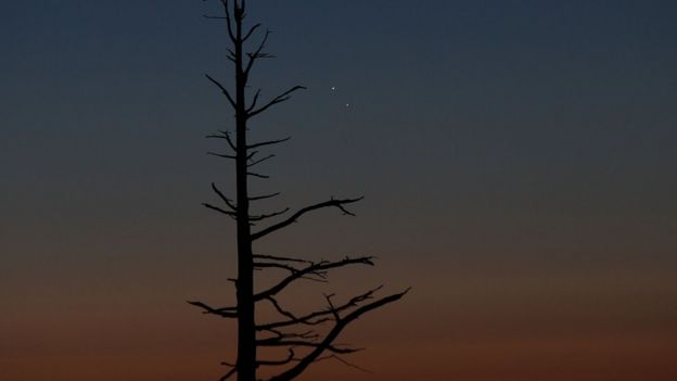 Venus y Júpiter
