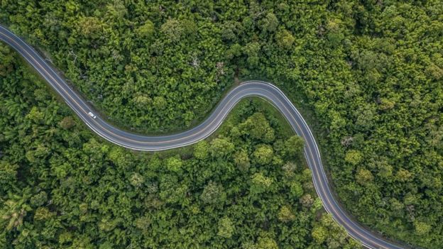 Estrada em meio a floresta