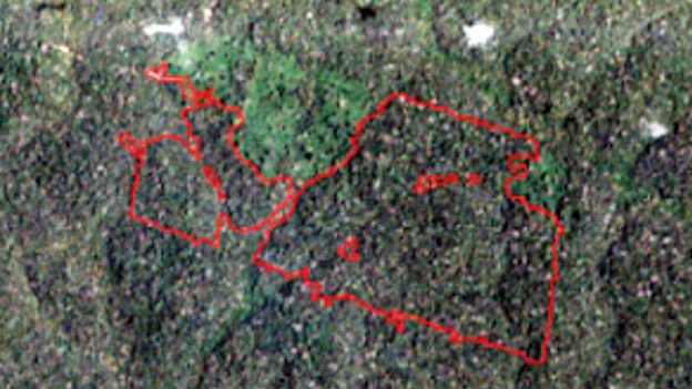 Imagem de satélite de área da floresta