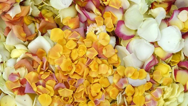 அன்பு மலர்கள்