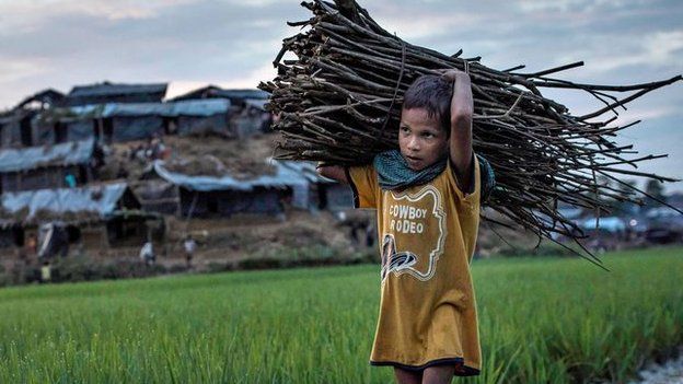 Young Rohingya refugee collecting firewood