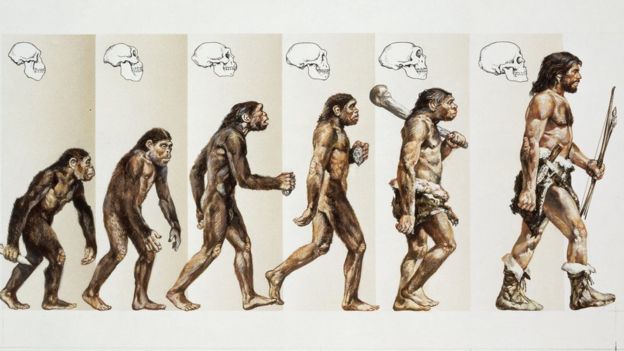 Modern insanın evrimi