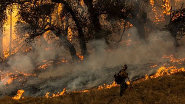 Bombero en el incendio Kincade de California.