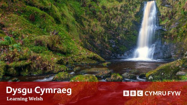 Newyddion A Mwy - BBC Cymru Fyw