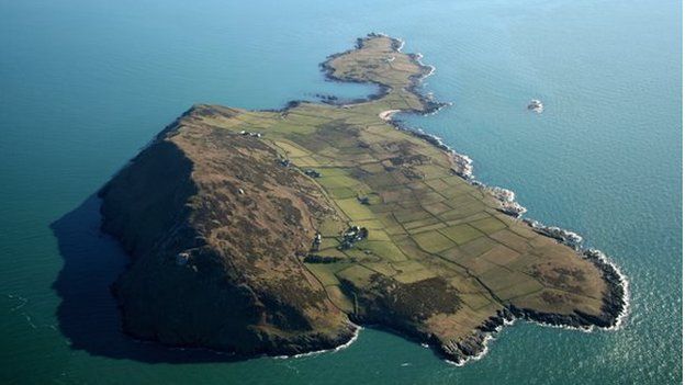 Mi fyddai Ffion wrth ei bodd cael bod yn geidwad Ynys Enlli