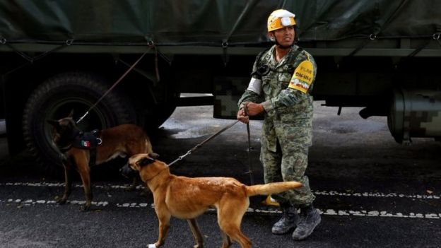 Un soldado mexicano con dos perros de rescate en Ciudad de México.