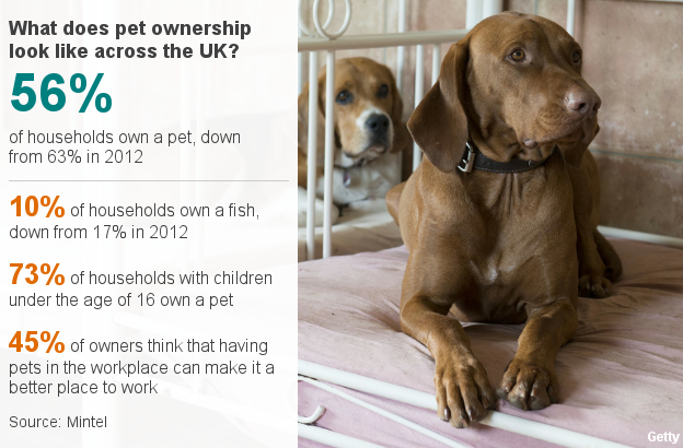 Pet ownership in the UK