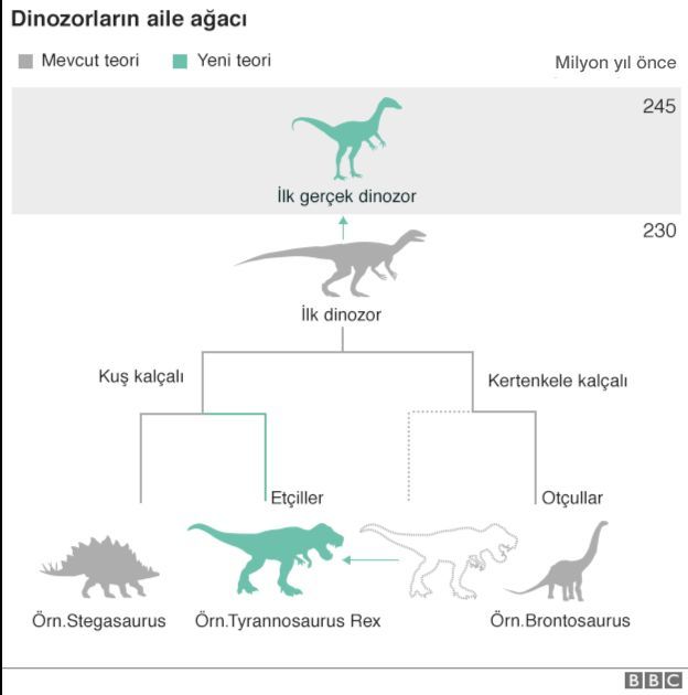 dinozor aile ağacı grafiği