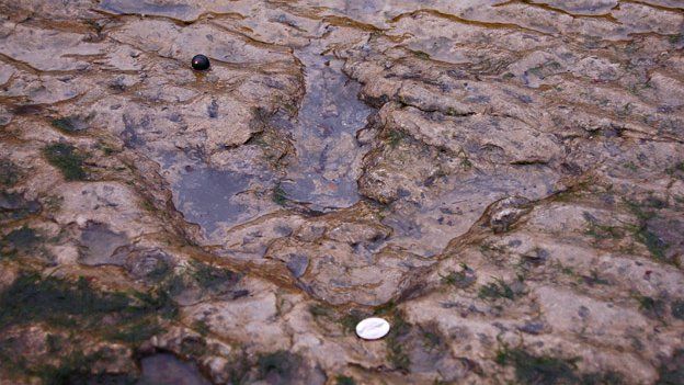 Dinosaur footprint on Skye