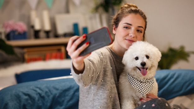 Girl and dog taking photo with phone