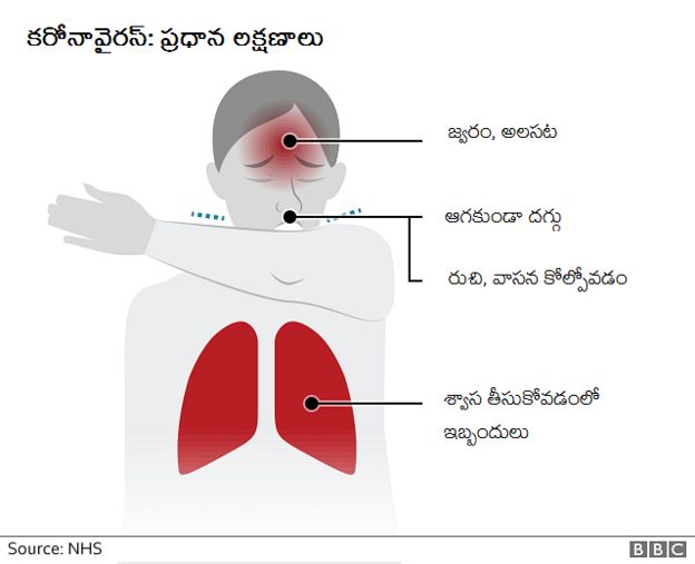 కరోనా వైరస్ లక్షణాలు