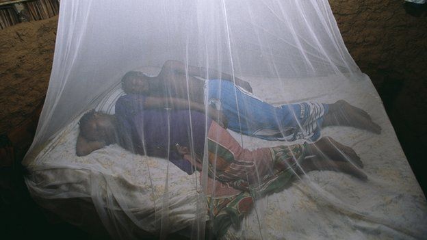 Couple sleeping under a bed-net