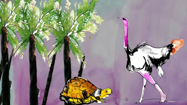 Turtle and bird illustration