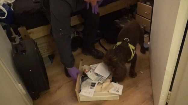 Police dog in Kings Cross raid