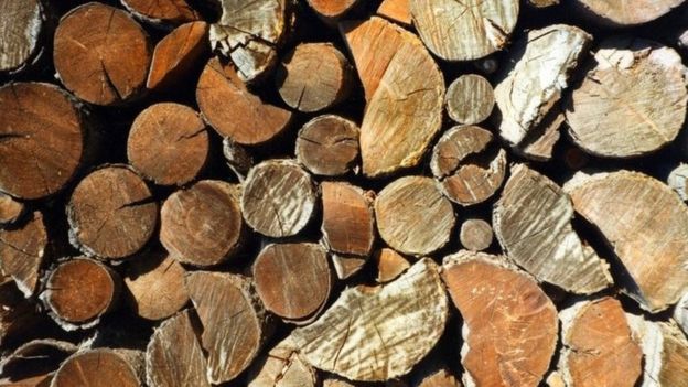 q-a-what-is-biomass-bbc-news