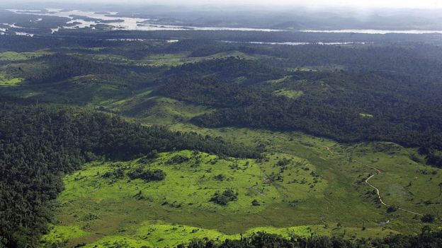 Floresta Amazônica