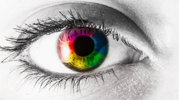 La capacidad de los humanos de ver el mundo en color es un producto de la evolución genética. Foto: Getty Images