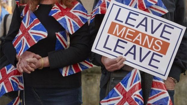 Pro-Brexit supporters
