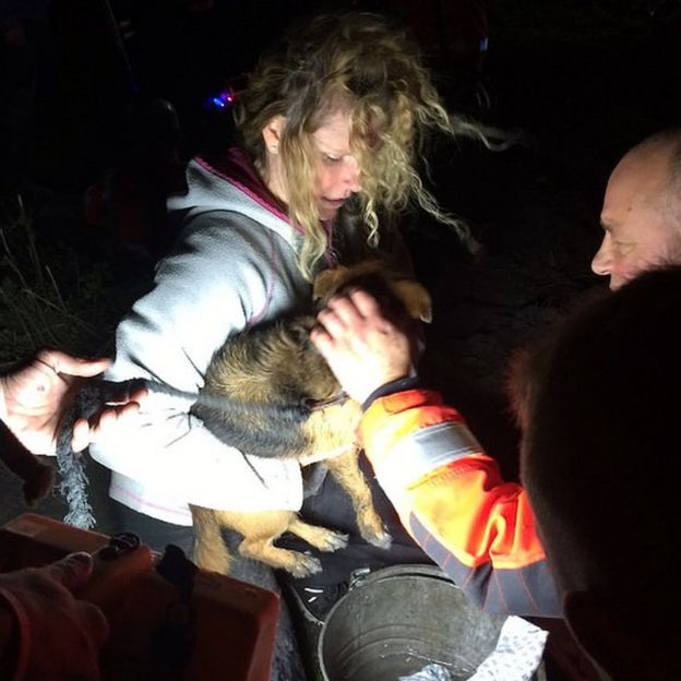 Fire crews rescue dog stuck down hole in St Neots BBC News