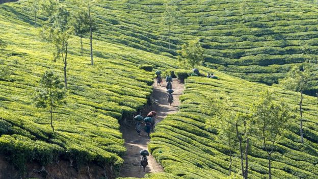 உயிரினங்களைக் காப்பாற்ற இந்தியா போதிய நடவடிக்கைகள் எடுக்கிறதா?