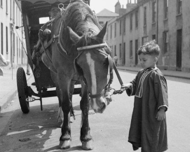 Hassan, a young Muslim boy, saying hello to the baker's horse on his rounds in Tiger Bay 1943