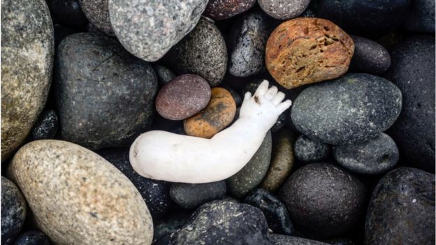 Braço de uma boneca em meio a pedras numa praia