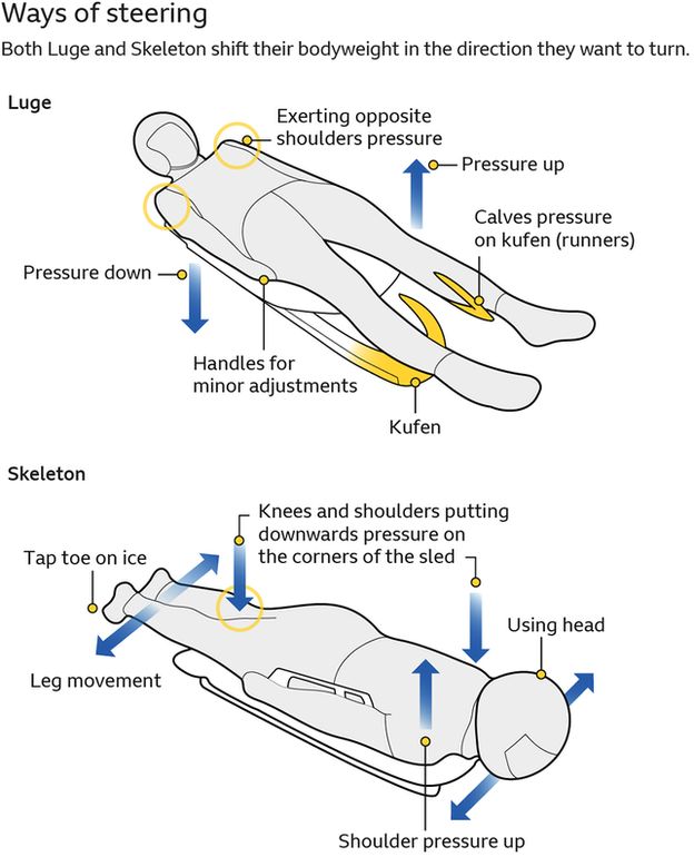 diagram illustrating how luge uses shoulders and calves for steering and skeleton uses shoulders, head, knees and toes