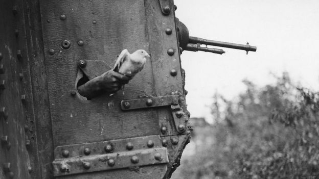 Soldier Letting a Carrier Bird Go.