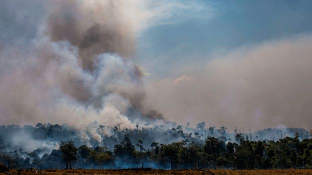 Fumaça entre árvores na Amazônia