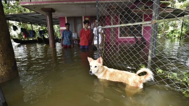 ''வரும்காலங்களில் கேரளா தொடர்ந்து பேரழிவுகளை சந்திக்கும்'' சுற்றுச்சூழல்வாதி சுகதாகுமாரி