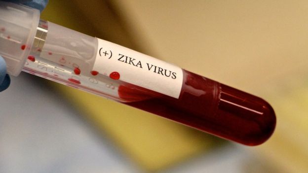 Tubo de sangue com vírus da Zika