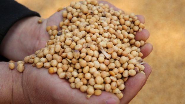 Soybeans imported from Ukraine at the port in Nantong, in China's eastern Jiangsu province