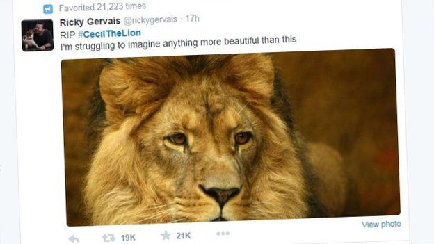A tweet by Ricky Gervais reading 'I'm struggling to imagine anything more beautiful than this' with an image of a lion.