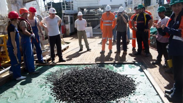 Un grupo de trabajadores observan nódulos de manganeso de la zona Clarion-Clipperton.