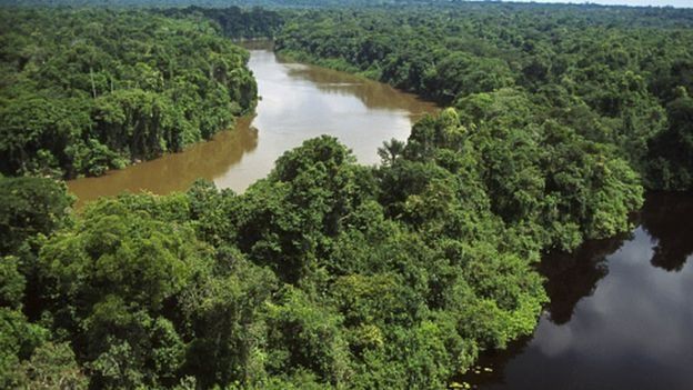 இன்று உலக சுற்றுச்சூழல் தினம்