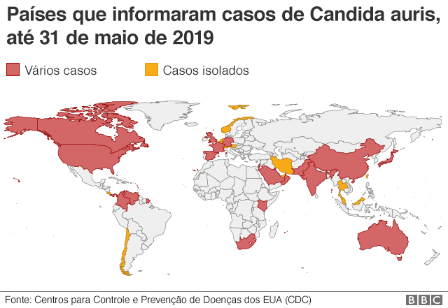 Mapa mostra casos de candida auris no mundo
