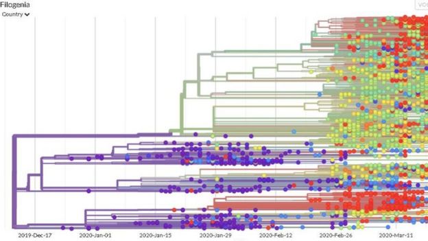 Site NextStrain apresenta mutações genéticas ao longo do tempo